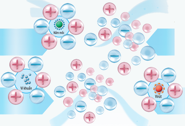 Máy lọc không khí có thể tiêu diệt được virus Covid-19 hay không? - 3